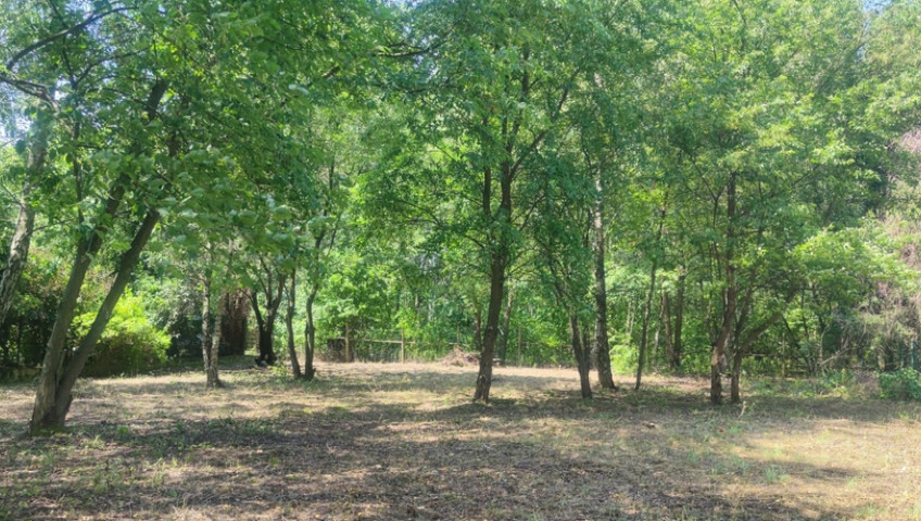 Działka Sprzedaż Borzęcin Duży Spacerowa